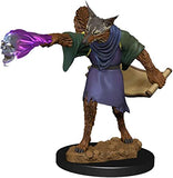 Nolzur's Marvelous Miniatures Arcanaloth & Ultroloth