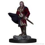 Nolzur's Marvelous Miniatures Vampires - Dracolich Gaming
