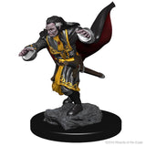 Nolzur's Marvelous Miniatures Vampires - Dracolich Gaming