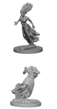 Nolzur's Marvelous Miniatures Ghost & Banshee - Dracolich Gaming