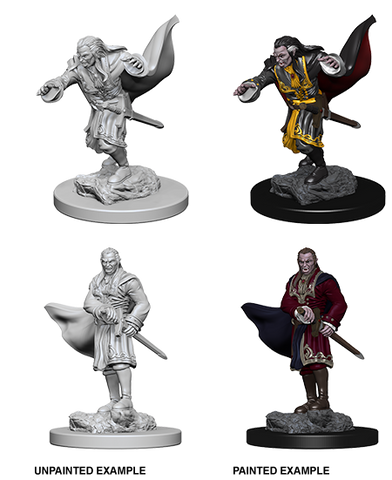 Nolzur's Marvelous Miniatures Vampires - Dracolich Gaming